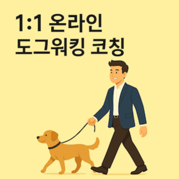 1:1 온라인 도그워킹 코칭